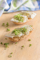 Ein belegtes Brötchen mit Cemembert und Kresse