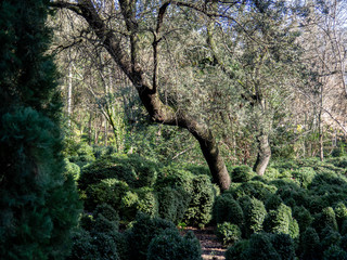 PLACES OF THE ALHAMBRA | BEAUTIFUL COUNTRIES | ALHAMBRA GARDENS
