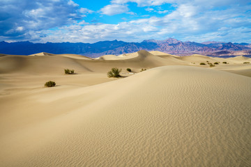 mesquite flat sand dunes in death valley, california, usa