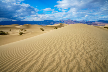 mesquite flat sand dunes in death valley, california, usa