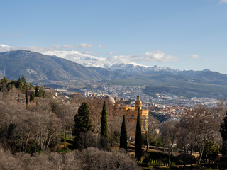 Obraz premium PLACES OF THE ALHAMBRA | BEAUTIFUL COUNTRIES | ALHAMBRA GARDENS