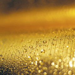 Still life shot close up of water drop