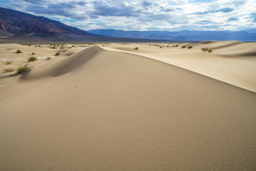 mesquite flat sand dunes in death valley, california, usa