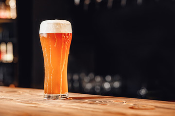 Long glass of fresh light beer with foam on wooden bar counter, dark background