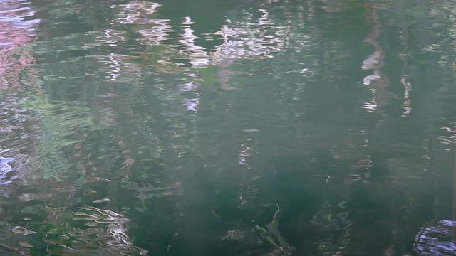 Fishing float bobbing on lake. locked off