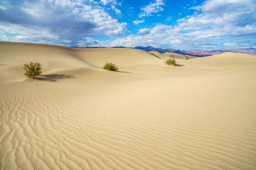 mesquite flat sand dunes in death valley, california, usa