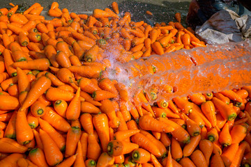Un-washed and dirty carrot washing on throw pipe water. Food background. Near Savar District at Dhaka, Bangladesh.
