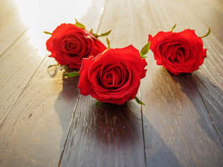 Bouquet of fresh roses, flower bright background.