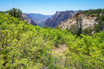 hiking the observation point trail in zion national park, usa