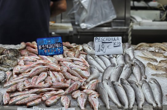Fish for sale in the Central Market of Valencia, Spain