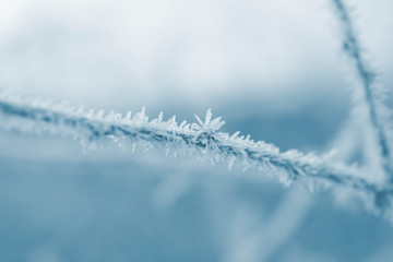 frozen crystals of ice on the grass.