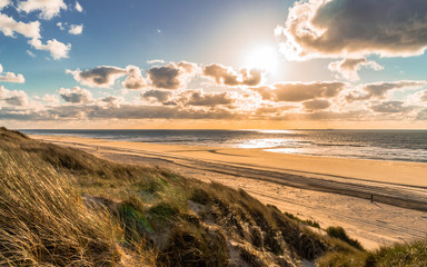 Wild North Sea coastal seascape with wide sandy coastline and tall marram grass(Ammophila arenaria) leaning and blown with a strong onshore wind and dramatic cloudy blue sky on Vlieland island