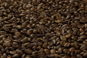 coffee beans close up background