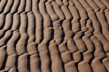 Sand Ridges