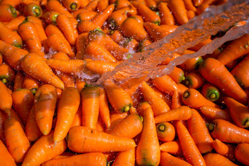 Un-washed and dirty carrot washing on throw pipe water. Food background. Near Savar District at...