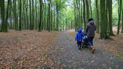 person walking in the wood