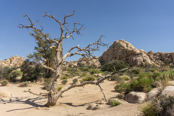 Bryce Canyon