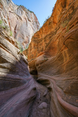 hiking the observation point trail in zion national park, usa