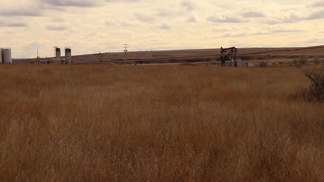 Oil rig pumping oil in grassland, isolated, oil industry