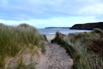 Through the Sand dunes at Tenby