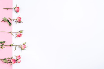 Frame of dried rose flowers on white and pink background.