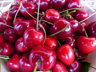 Rot, glänzende Süsskirschen
