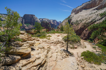 hiking west rim trail in zion national park, usa