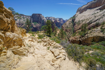 hiking west rim trail in zion national park, usa