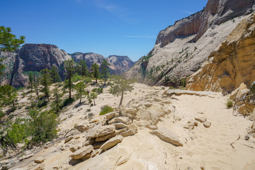 hiking west rim trail in zion national park, usa