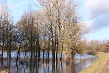 Hochwasser an der Donau in Neustadt an der Donau in Bayern