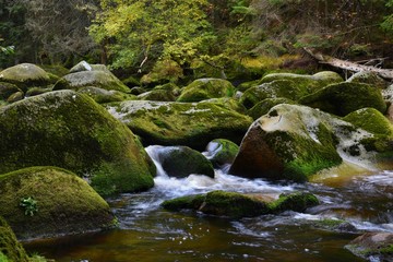 River Vydra in Sumava national park - Czech republic