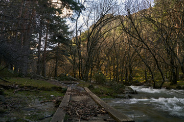 Wooden bridge in mountain river