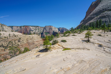 hiking west rim trail in zion national park, usa