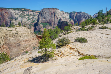 hiking west rim trail in zion national park, usa