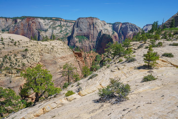 hiking west rim trail in zion national park, usa