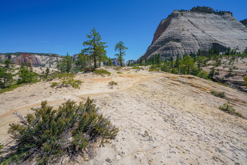 hiking west rim trail in zion national park, usa