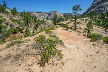 hiking west rim trail in zion national park, usa