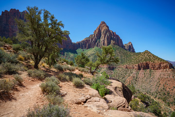 hiking the watchman trail in zion national park, usa