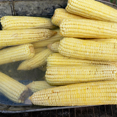 Mexican boiled corn snack called 