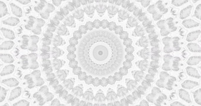 Skin snake background White snake skin texture Close-up 