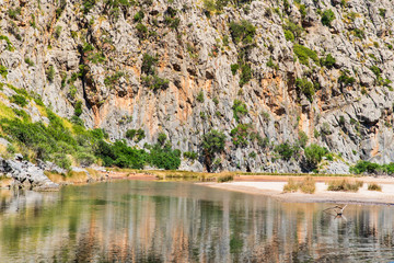 Naklejka premium Beautiful rocky mountains with a river in valley, landscape of wildlife, summer. Nature in Mallorca, Balearic Islands, Spain. River Torrent de Pareis between rocky mountains