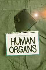 Word writing text Huanalysis Organs. Business photo showcasing The internal genital structures of...