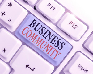 Conceptual hand writing showing Business Community. Concept meaning the showing involved in the...