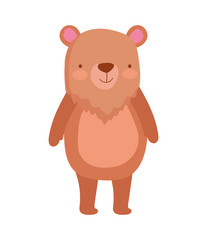 cute bear animal cartoon character on white background