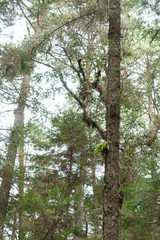 campamento en el terrero