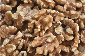 the portrait of nuts