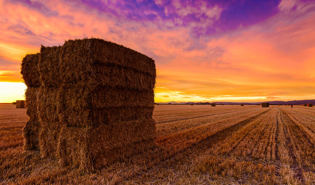 Puesta de sol en un campo recientemente cosechado con pacas