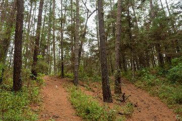 Obraz premium campamento en el terrero