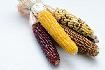 Diversity of very colorful, organic and natural ears