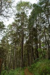 campamento en el terrero